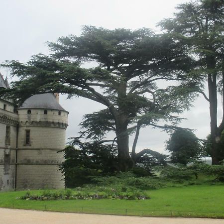 Bed and Breakfast Couleurs Loire Molineuf Exterior foto