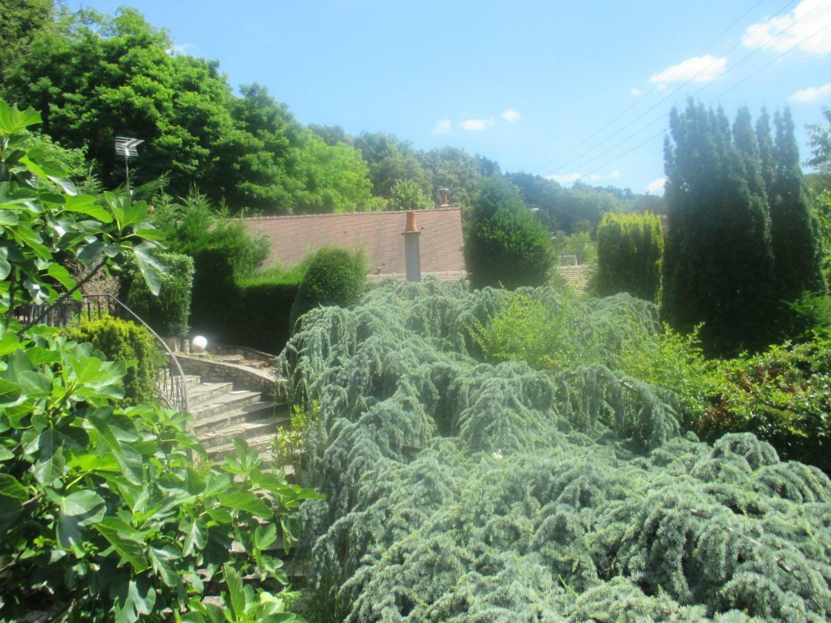 Bed and Breakfast Couleurs Loire Molineuf Exterior foto
